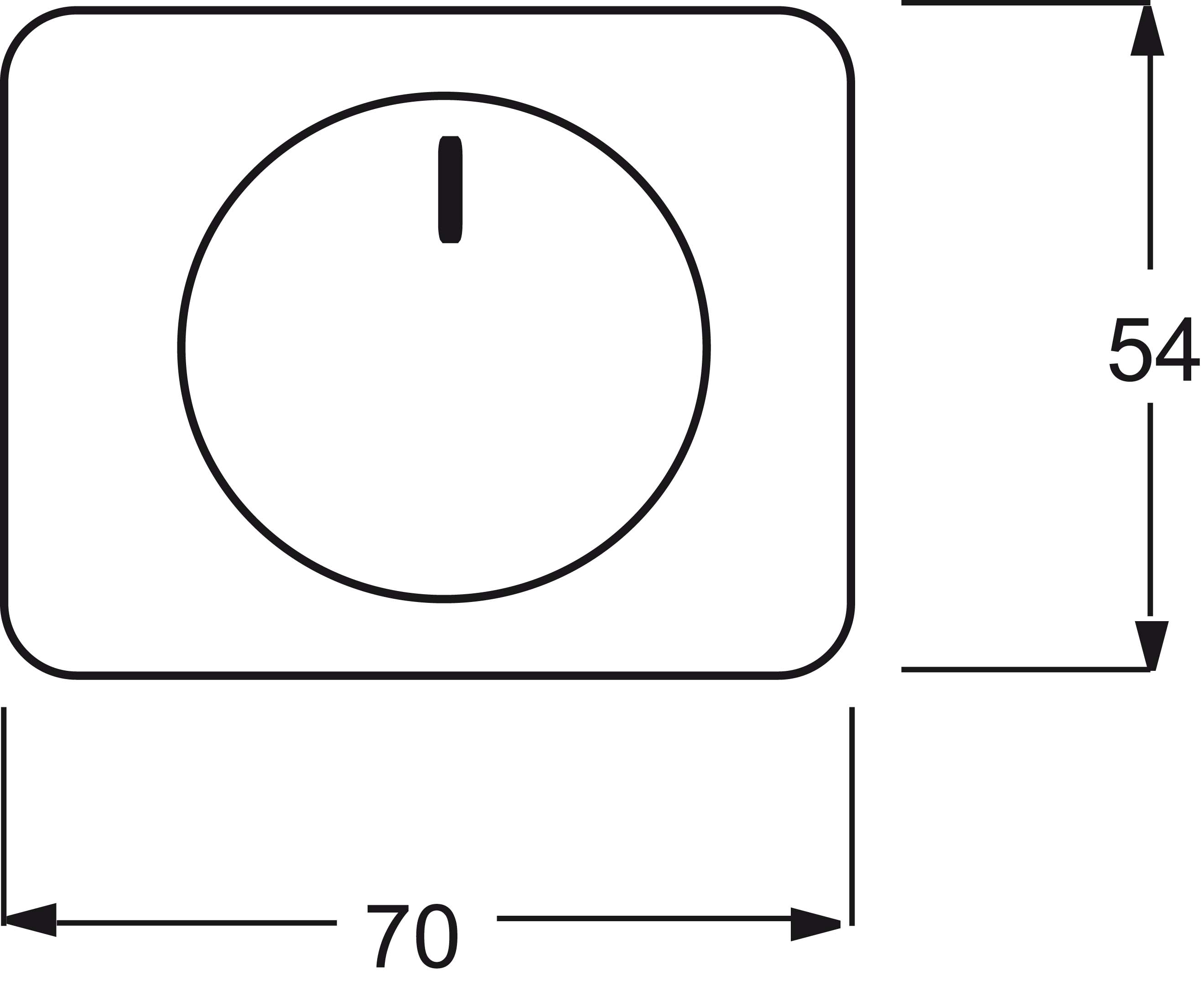 Busch-Jaeger Zentralscheibe pla für Drehdimmer 6540-20