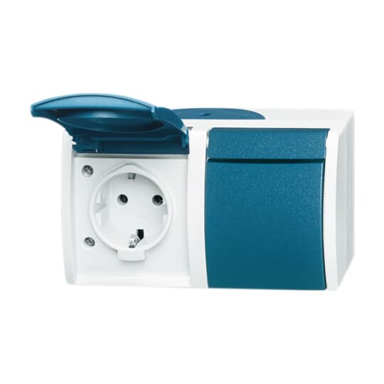 Busch-Jaeger Schuko-Steckdose 2f.gr/bgn waagerecht 20/2 EW-53