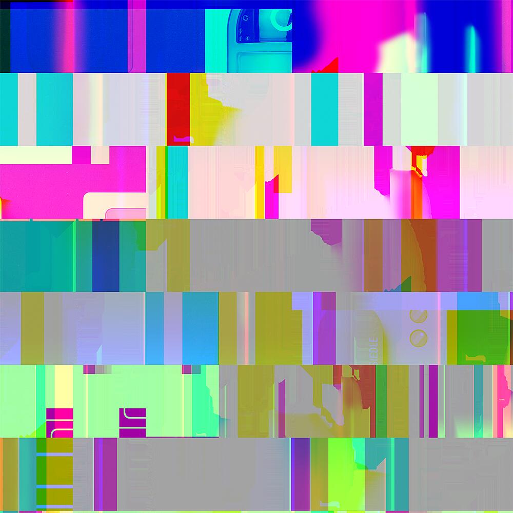 Siedle&Söhne Türlautsprecher-Controller Access, sw ATLC/NG 670-0