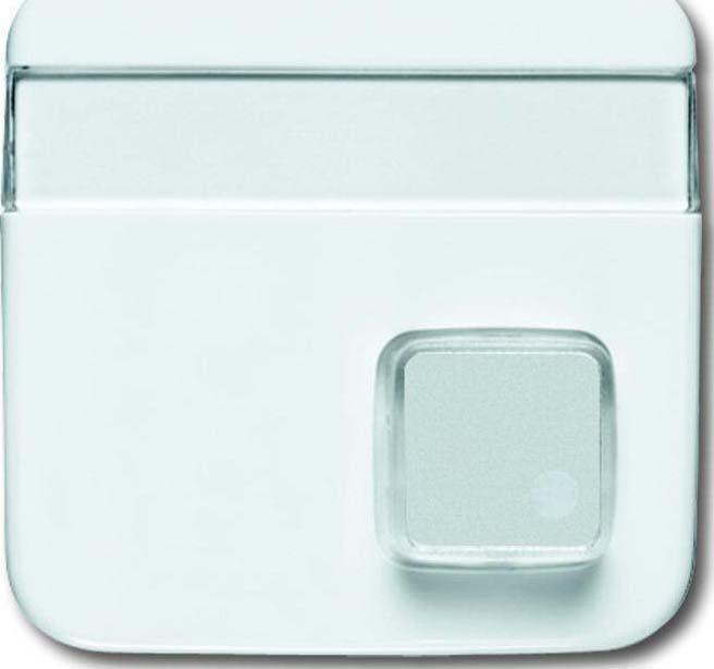 Busch-Jaeger Zentralscheibe aws m.Beschriftungsfeld 1571 CN-214