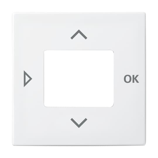 Busch-Jaeger Zentralscheibe alpinws f.Timer 6435-914