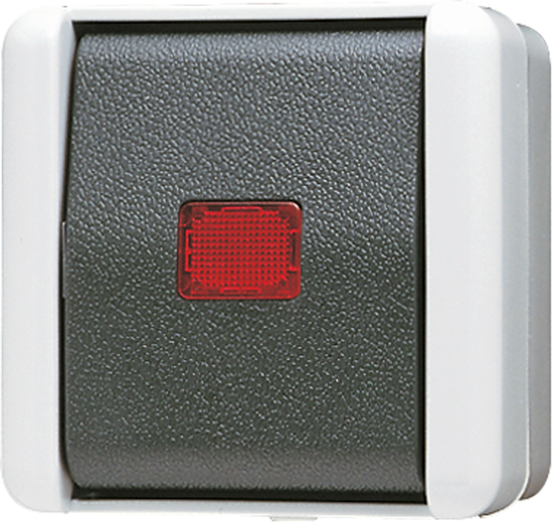 Jung Wipp-Kontrollschalter Univ Aus Wechsel 806 KOW