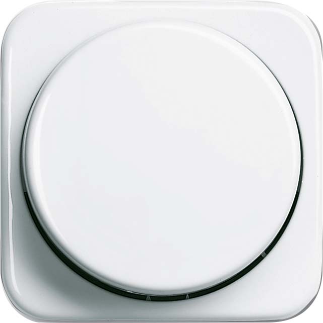 Busch-Jaeger Zentralscheibe aws für Drehdimmer 2115-214
