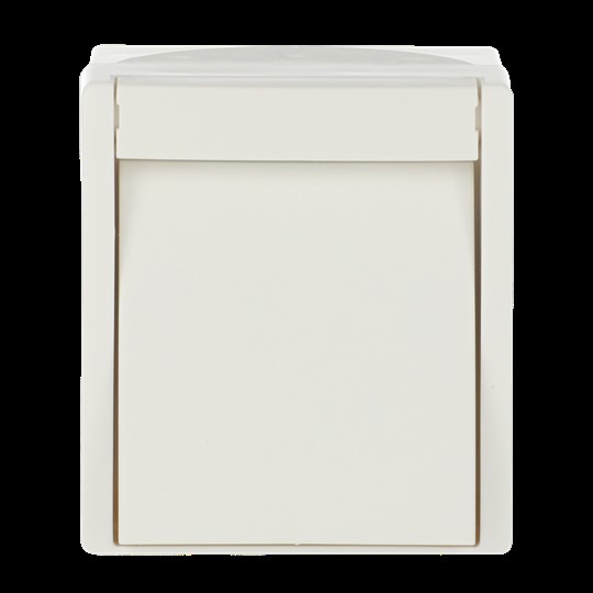 Busch-Jaeger Wipptaster,Schließer 2621 W-54