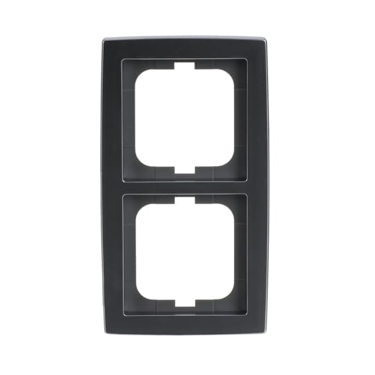 Busch-Jaeger Rahmen 2-fach chrom matt 1722-80