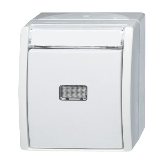 Busch-Jaeger Taster Schliesser 1-pol. 2621 WN-54-201