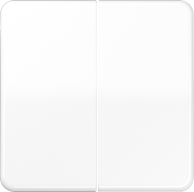 Jung Wippe aws für Schalter/Taster CD 595 BF WW