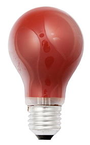 Scharnberger+Has. Glühlampe B60x105mm E27 230V 25W rot 40245