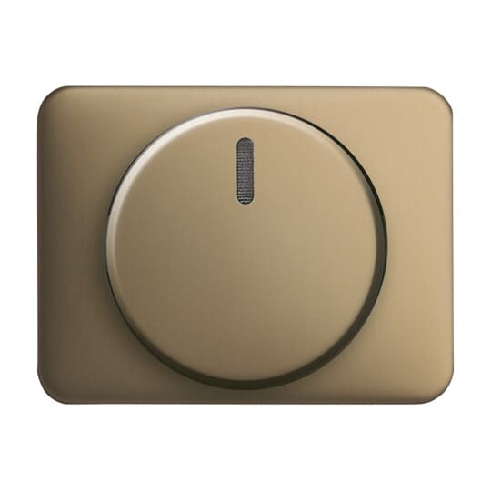 Busch-Jaeger Zentralscheibe brz für Drehdimmer 6540-21