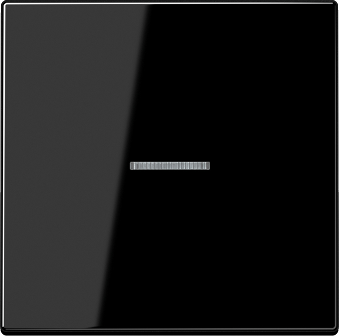 Jung Wippe Lichtleiter ws für Taster LS 990 KO5 SW