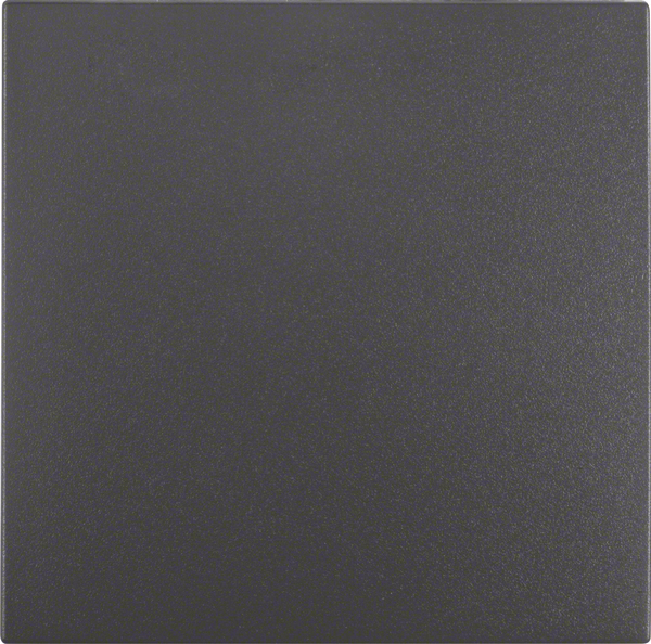 Berker Wippe anth matt 1-fach 16201606