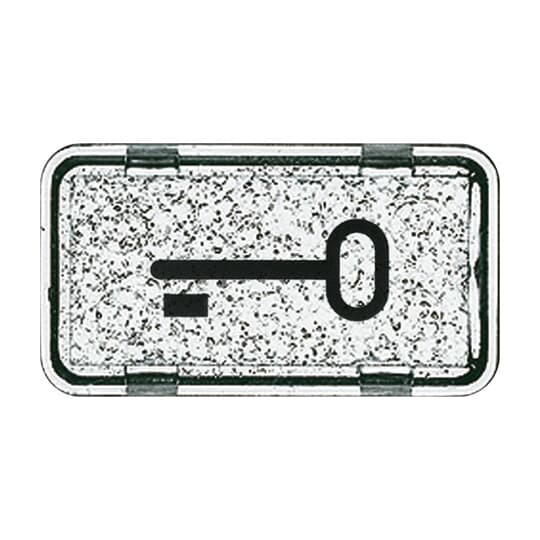 Busch-Jaeger Tastersymbol Schlüssel 2622 TR-101