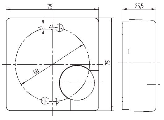 Eberle Controls Temperaturregler  RTR-E 6181