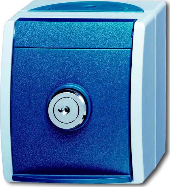 Busch-Jaeger Schuko-Steckdose Einheitsschloss 20 EWSL-101-53