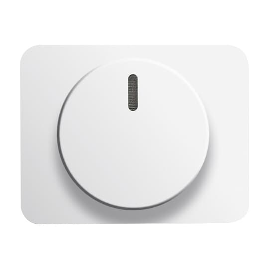 Busch-Jaeger Zentralscheibe stws gl für Drehdimmer 6540-24G