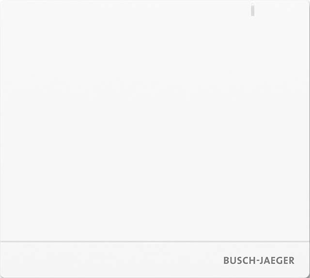 Busch-Jaeger System Access Point 2.0 Wireless SAP/S.13