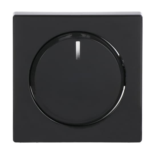 Busch-Jaeger Zentralscheibe anth für Drehdimmer 6540-81-102