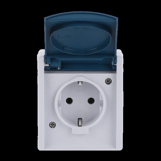 Busch-Jaeger Schuko-Steckdose gr/blgn AP, m.Klappdeckel 20 EW-53