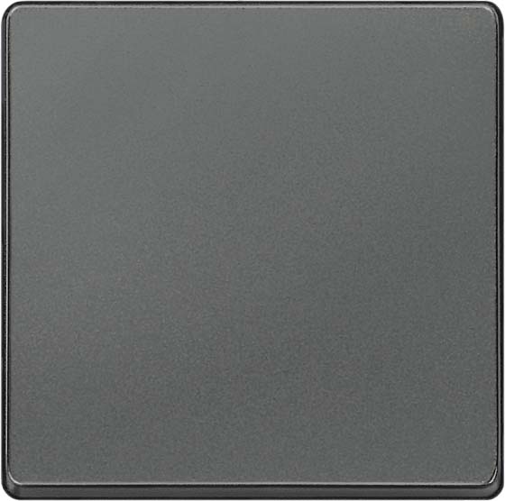 Siemens Dig.Industr. i-system Wippe neutral, carbon 5TG6221