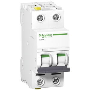 Schneider Electric LS-Schalter 2P 2A C IC60N A9F04202