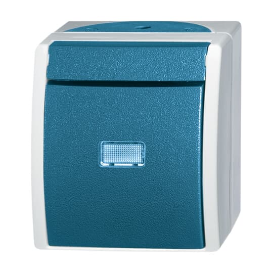 Busch-Jaeger Wechselschalter AP 2601/6 WGL-53