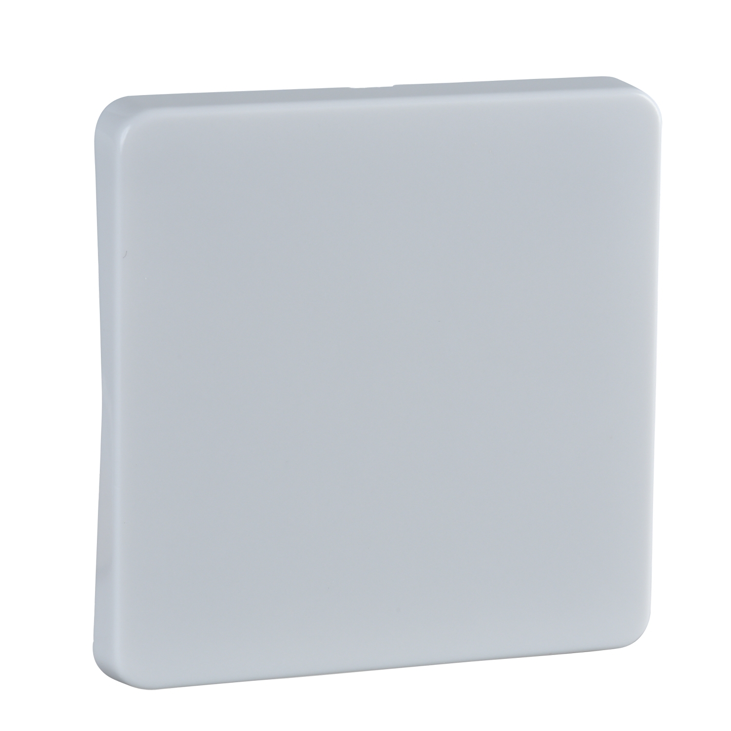 Elso Wippe rw f. Taster/Schalter 213604 Elso Wippe rw f. Taster/Schalter 213604