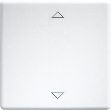 Eltako Wippe lasergraviert f.55x55mm rws W-FT55-wg+2P