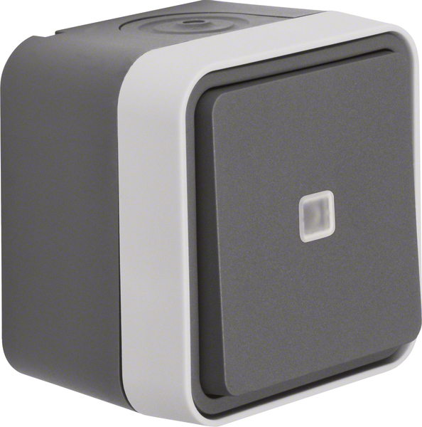 Berker Taster Wechsler lichtgrau 50763505