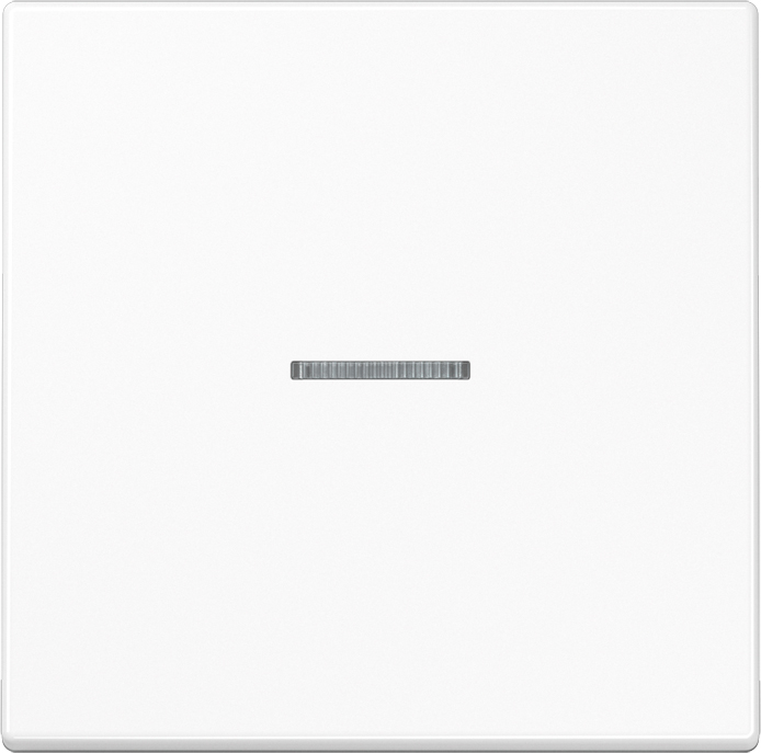Jung Wippe Lichtleiter aws für Schalter/Taster LS 990 KO5 WW
