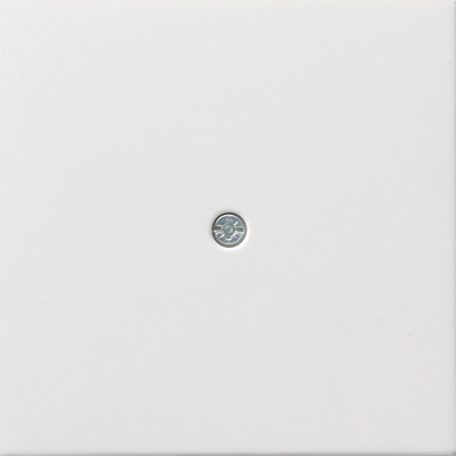 Gira Zentr.pl.Schnurabl. rws/gl 0274112