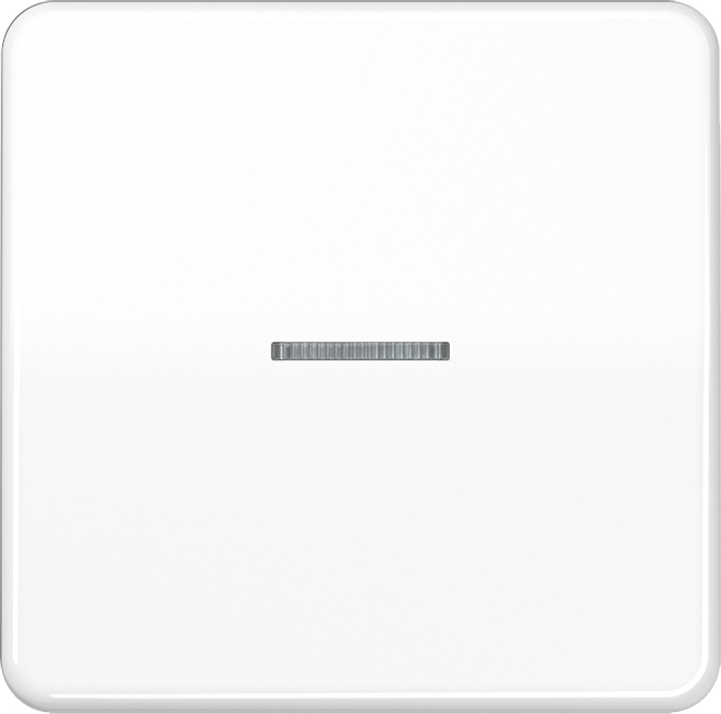 Jung Wippe Lichtleiter aws für Taster CD 590 KO5 WW