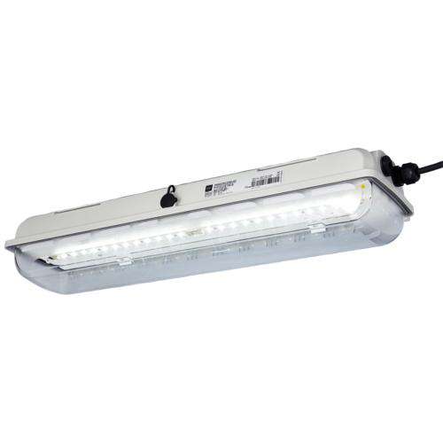 Stahl Ex-LED-Langfeldleuchte 6002/4148-010#267074