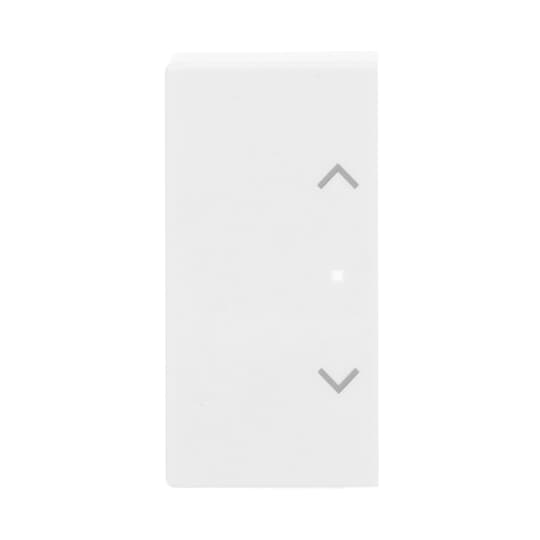 Busch-Jaeger Wippe 2-f li Symb Jalousie studioweiß 6232-20-84