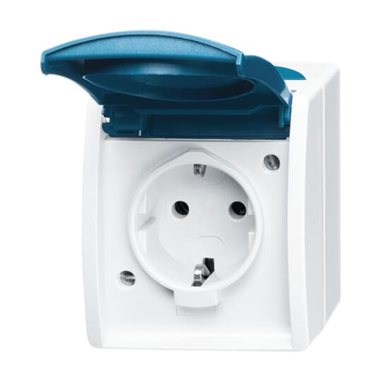 Busch-Jaeger Schuko-Steckdose mit Namensschild 20 EWN-53