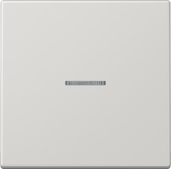 Jung Wippe Lichtleiter lgr für Schalter/Taster LS 990 KO5 LG