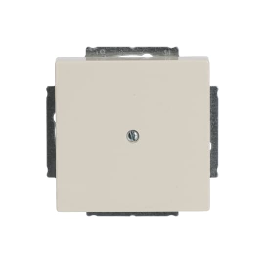 Busch-Jaeger Zentralscheibe sav/ews Blindabd,m.Tragring 1742-82