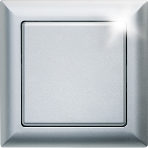 Eltako Funktaster alu lackiert FT55-al