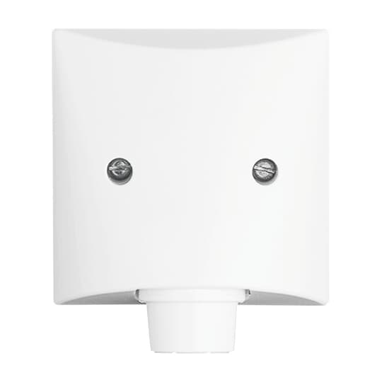 Busch-Jaeger Zentralscheibe aws für Leitungsauslass 2133-34