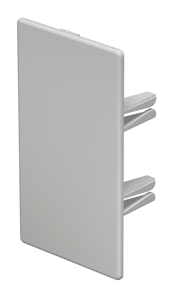 OBO Bettermann Vertr Endstück 60x110mm WDK HE60110RW