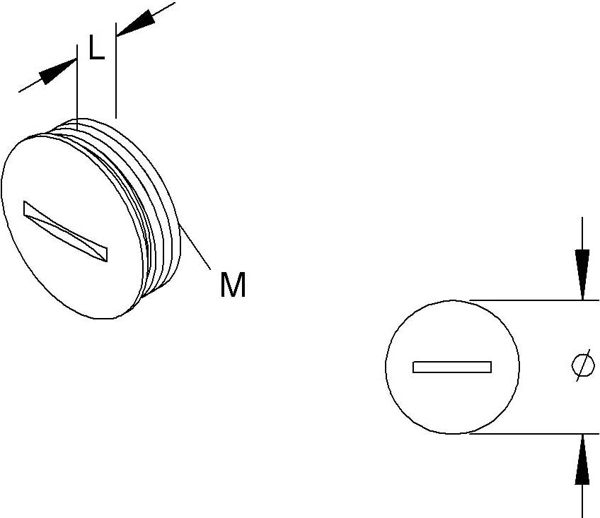 Kleinhuis Verschlußschraube 1514M20