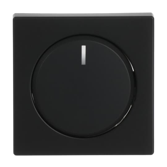 Busch-Jaeger Zentralscheibe sw mt für Drehdimmer 6540-885-102