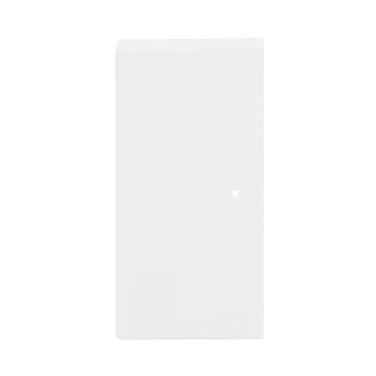 Busch-Jaeger Wippe studiows mt future linear 6230-20-884