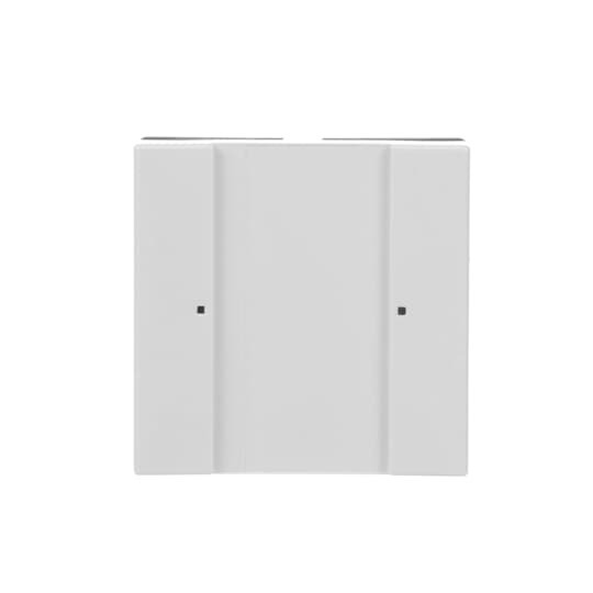 Busch-Jaeger Tastsensor 1/2fach Multifunktion 6125/02-84