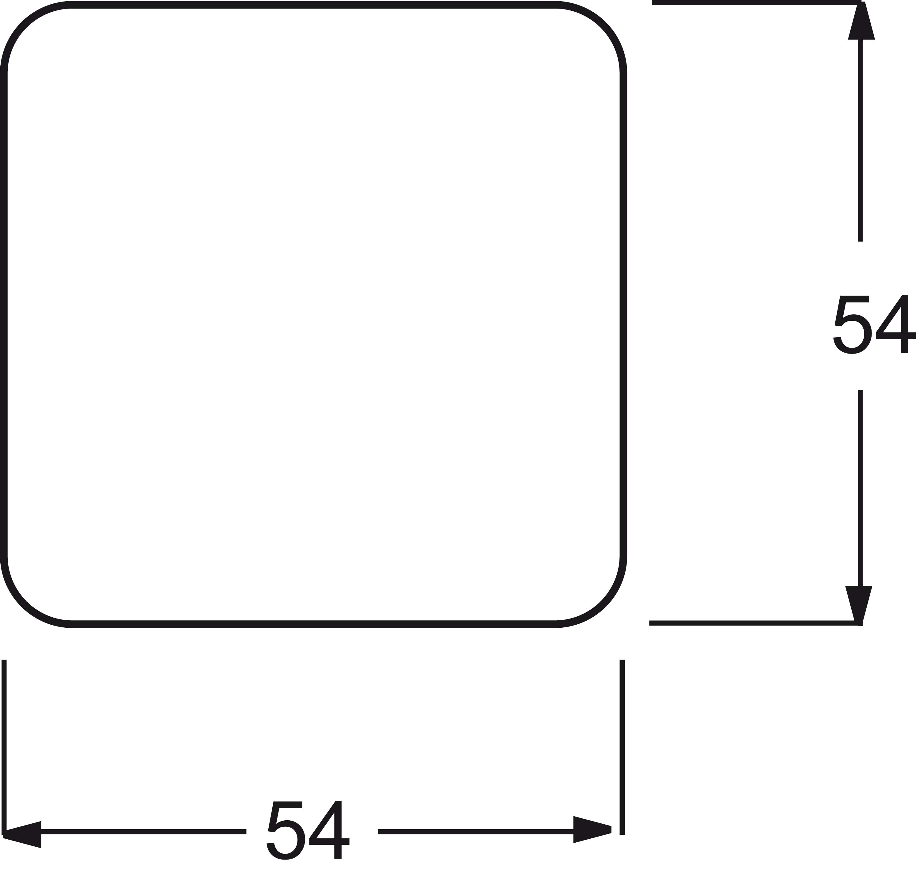 Busch-Jaeger Wippe ws mit Symbol Licht 2520 LI-212