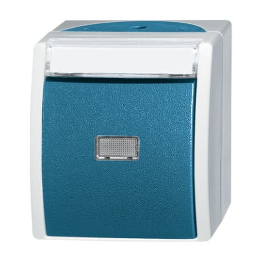 Busch-Jaeger Taster Schliesser 1-pol.AP 2621 WN-53-201