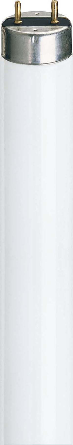 Signify Lampen Leuchtstofflampe 36W 4000K G13 1000mm TL-D 36W-1/840
