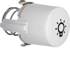 Berker Tasterknopf pws für Symbol "Licht" 1226