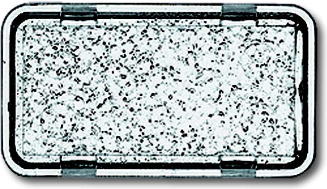 Busch-Jaeger Tastersymbol neutral 2622 N-101