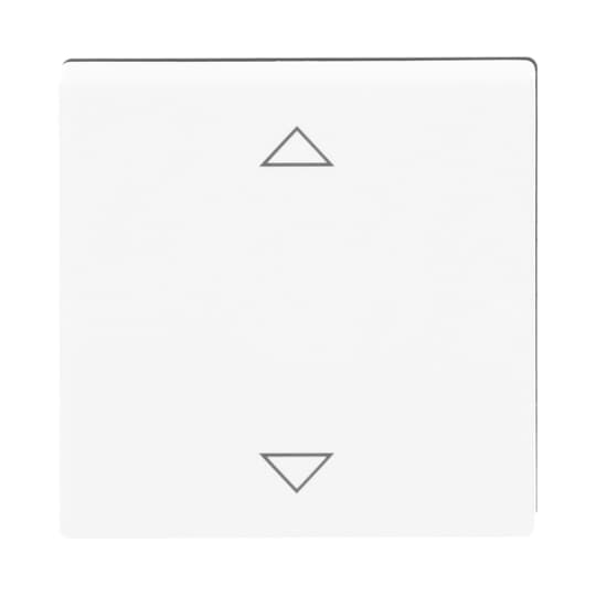 Busch-Jaeger Bedienelement dav/sws für Jalousie-Einsatz 6430-84-102