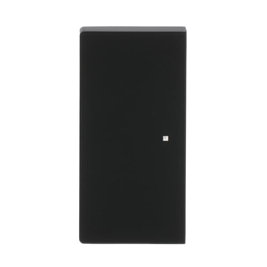 Busch-Jaeger Wippe sw mt future linear 6230-20-885